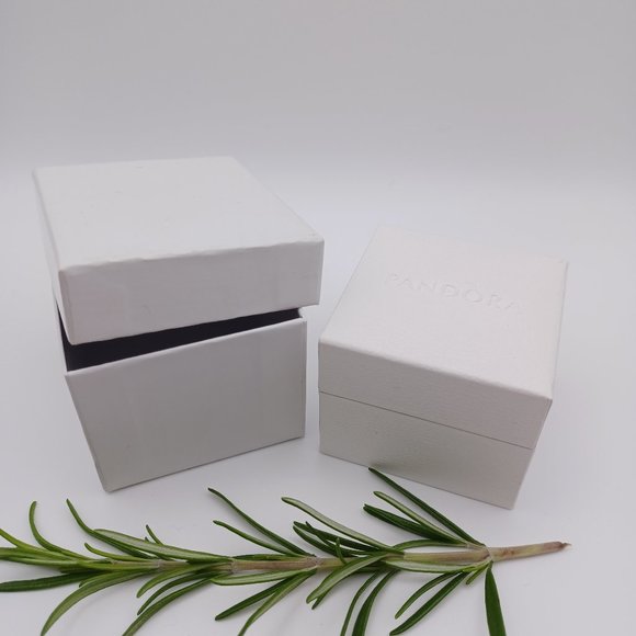 Pandora Box - Empty with outer box - Picture 4 of 5